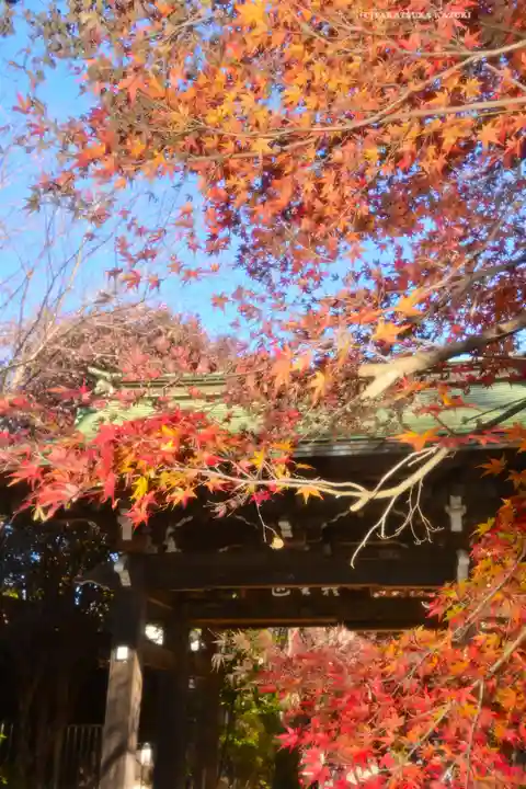 本土寺(千葉県)