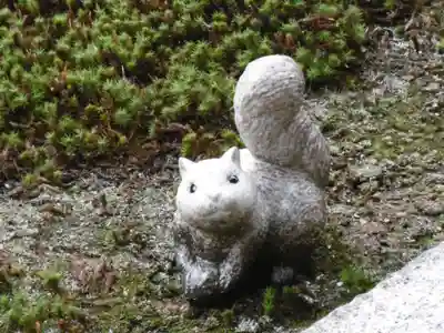 聖護院門跡の狛犬