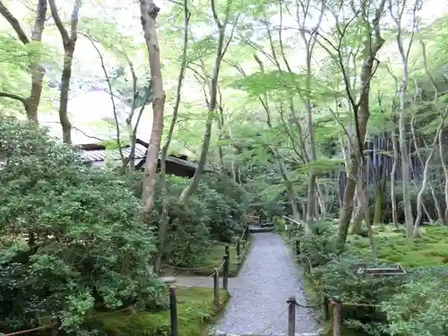 祇王寺の庭園