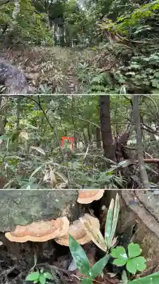 正一位石倉稲荷神社(北海道)