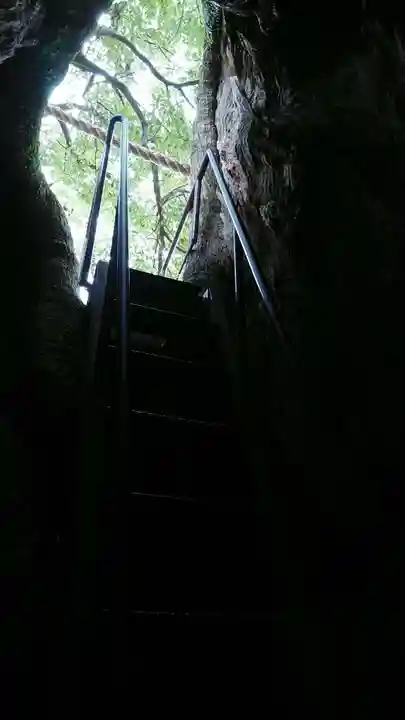 熊野那智大社(和歌山県)