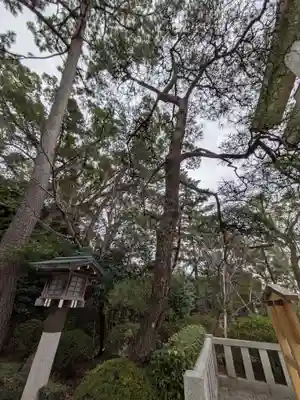寒川神社(神奈川県)