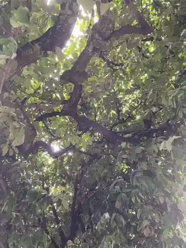 明光寺(京都府)