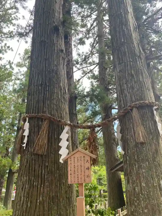 大崎八幡宮(宮城県)