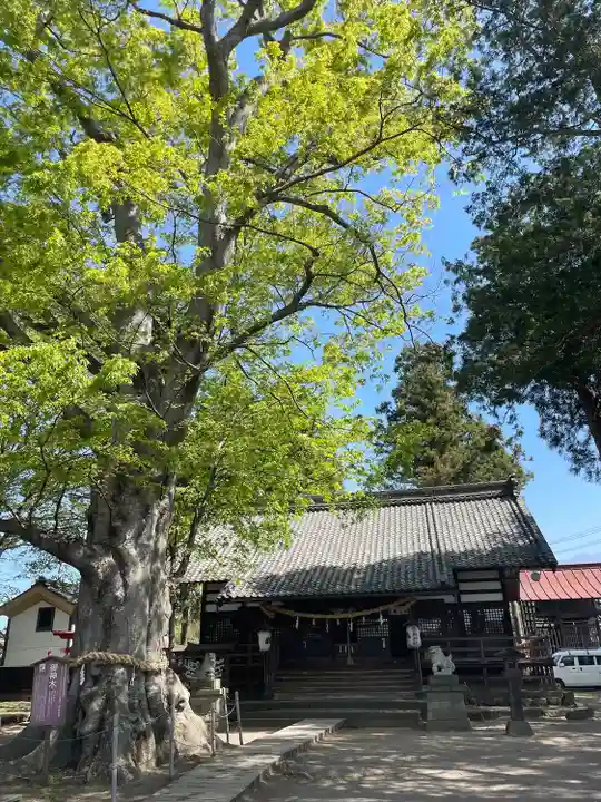 白鳥神社(長野県)