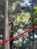 大宮温泉神社(栃木県)