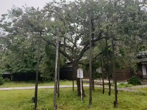 城福寺(福井県)