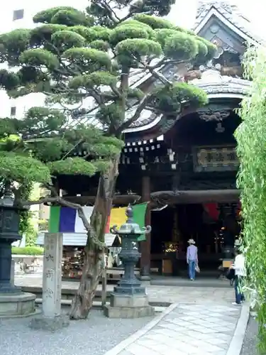 頂法寺（六角堂）の建物その他