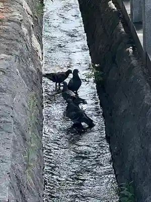 善光寺(長野県)