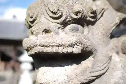 上高野神社の狛犬