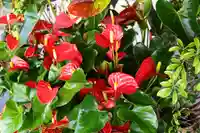 三津厳島神社(愛媛県)