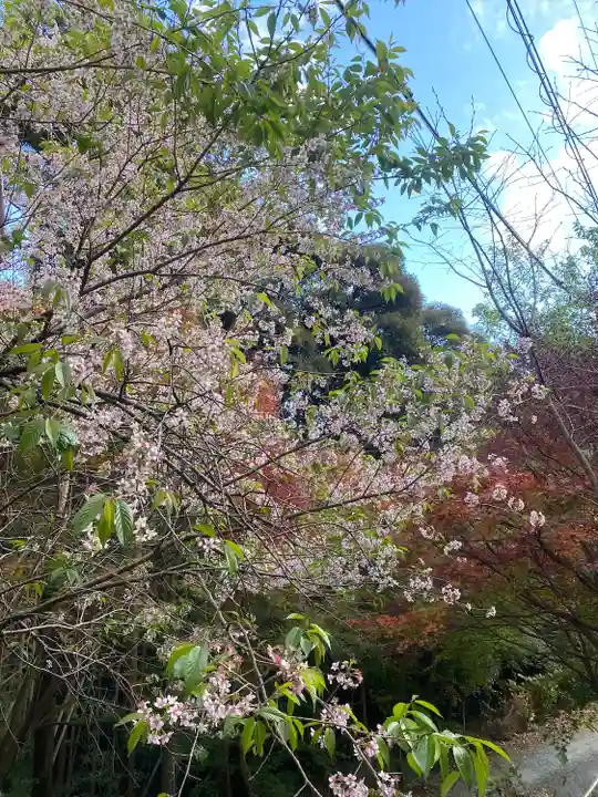 普門寺(切り絵御朱印発祥の寺)(愛知県)