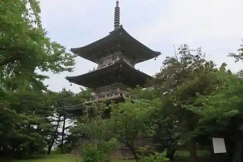 国分寺のその他建物