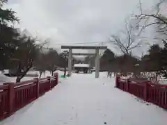 札幌護國神社の鳥居