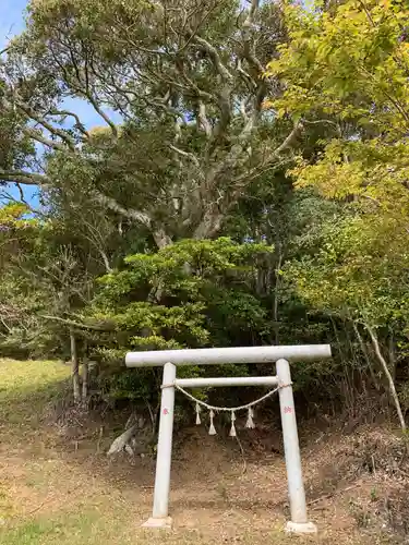 浅間神社の鳥居