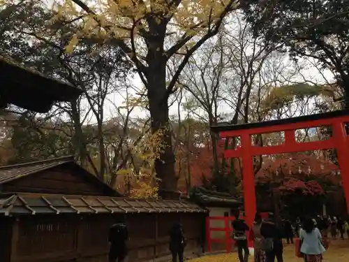 賀茂御祖神社（下鴨神社）の建物その他