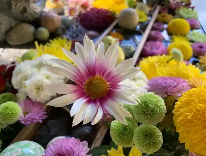 滑川神社 - 仕事と子どもの守り神の手水舎