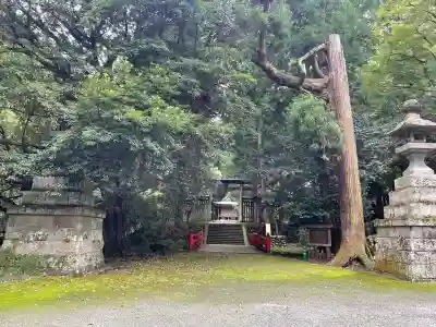 武蔵二宮 金鑚神社(埼玉県)