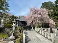 観音寺(群馬県)