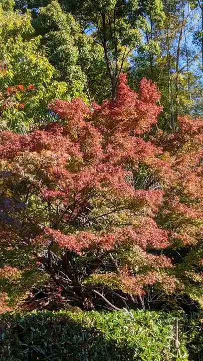 化野念仏寺(京都府)