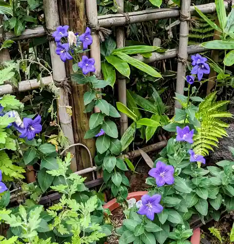 花園稲荷神社(東京都)
