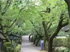 密藏院(埼玉県)