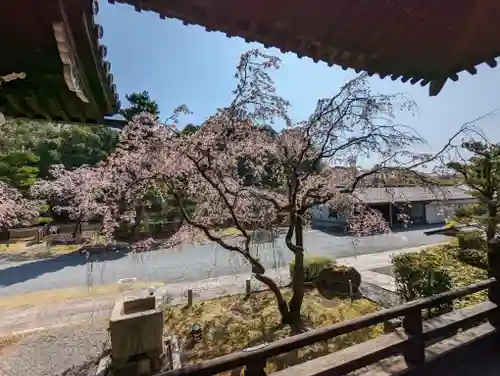 妙満寺(京都府)