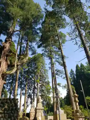 頭川神社の自然