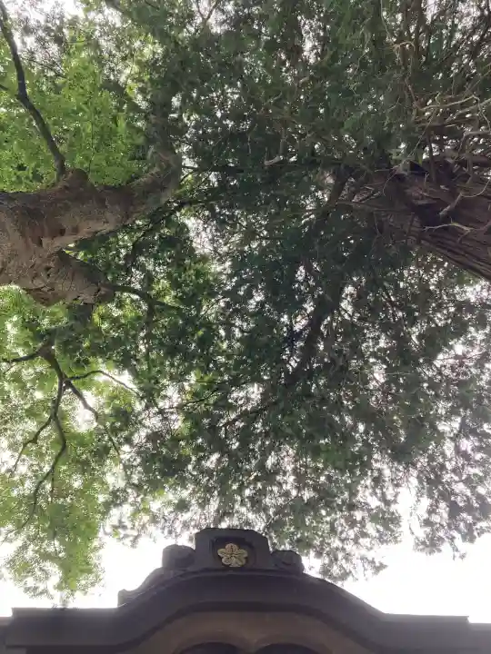 新海三社神社(長野県)