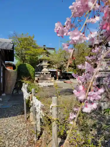 千代神社(滋賀県)