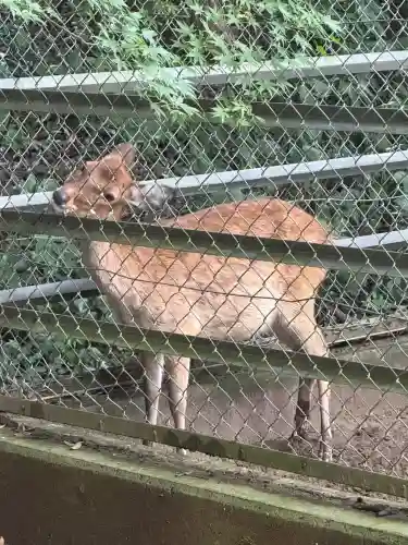 鹿島神宮(茨城県)
