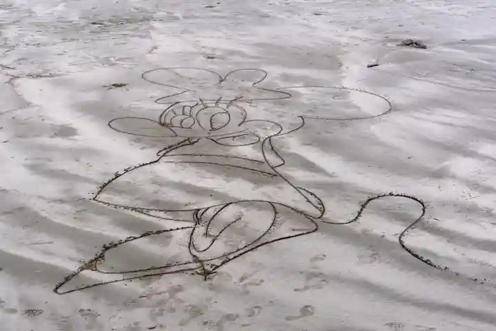 青島神社(青島神宮)(宮崎県)