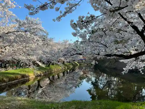 青森縣護國神社の自然