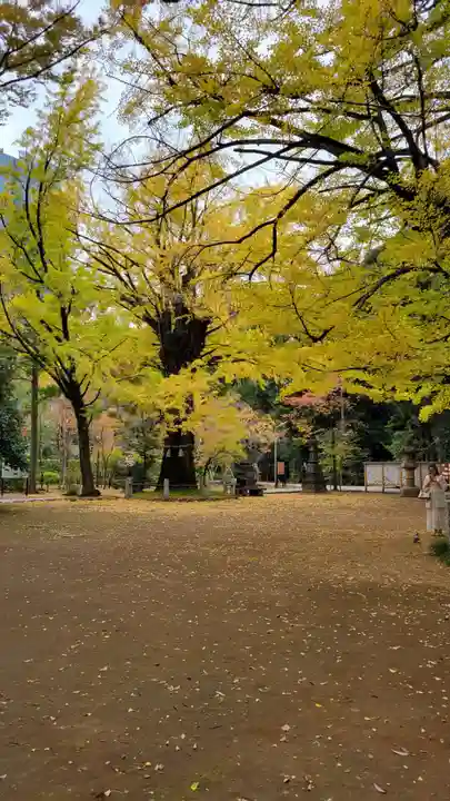 赤坂氷川神社(東京都)