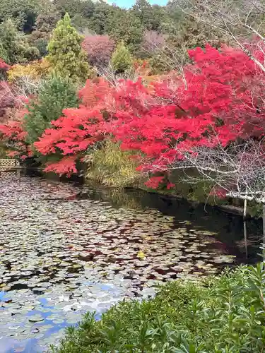 龍安寺(京都府)