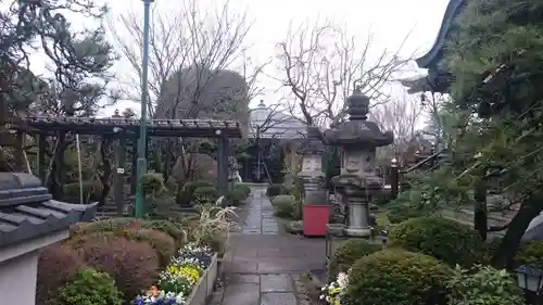 井口院の庭園