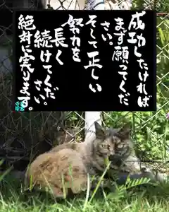 専念寺(大阪府)(2022年08月19日(金) 20時58分15秒投稿)