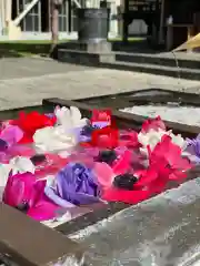 根岸八幡神社(神奈川県)