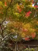 事任八幡宮の自然