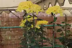 高麗神社の建物その他