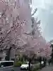 東京大神宮(東京都)