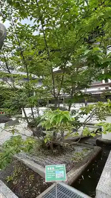 龍宝寺(宮城県)