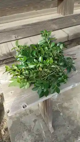 鹿嶋三嶋神社(茨城県)