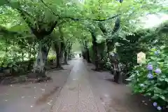 極楽寺（霊鷲山感應院極楽律寺）の景色