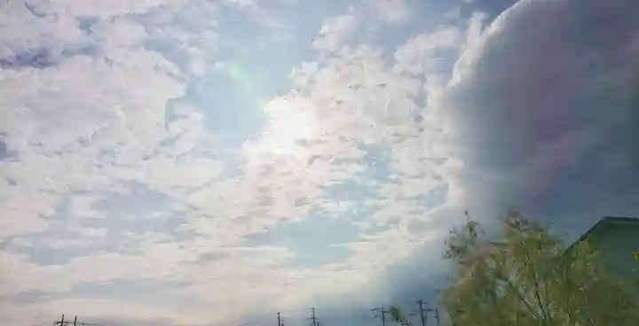 八坂社(桜木)の景色