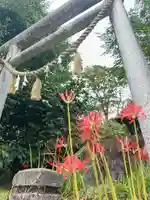 たばこ神社の鳥居