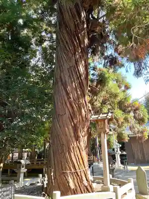 大隴神社(滋賀県)