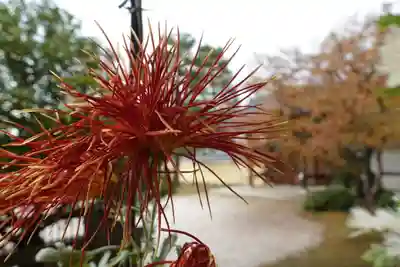 大覚寺のその他建物