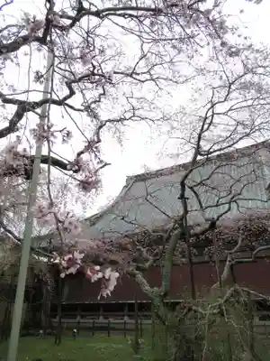 般若院(茨城県)