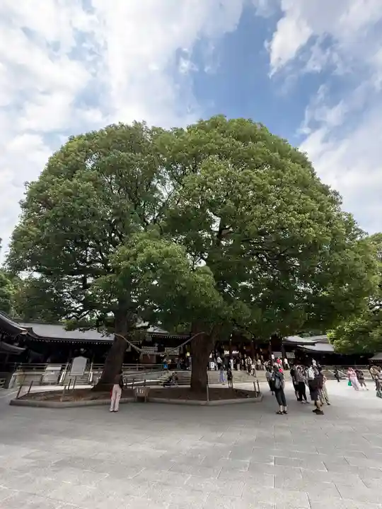 明治神宮(東京都)